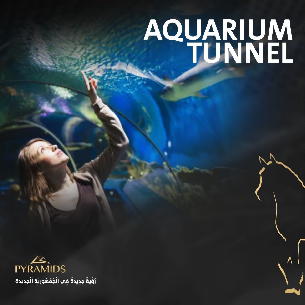 ميجا مول شركة بيراميدز العاصمة الادارية