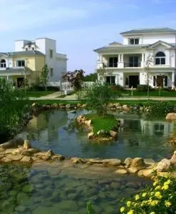 ماونتن فيو  1