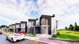 شركة المطورون العرب