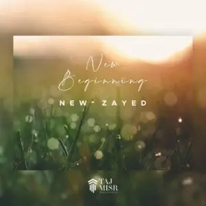 دي جويا الشيخ زايد