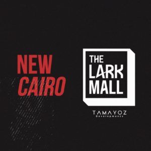 ذا لارك مول التجمع الخامس