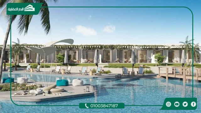 دي باي تطوير مصر