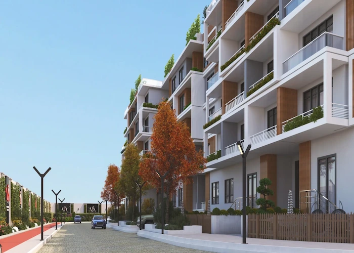 مشروع فيا زايد (3)