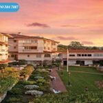 كارميل سوديك الشيخ زايد Karmell Sodic Sheikh Zayed بقدم 5%