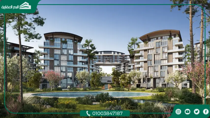 Nest New Cairo نيست القاهرة الجديدة