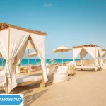 قرية المصيف راس الحكمة El Masiaf Ras El Hikma مساحات واسعار