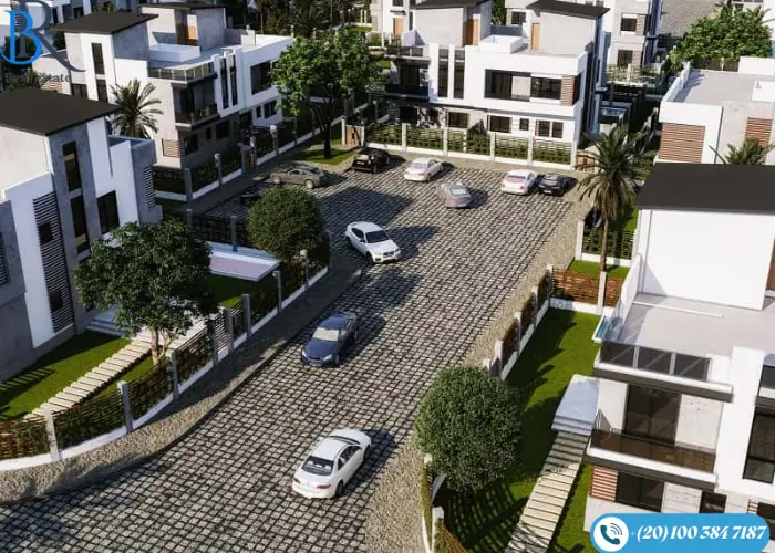  تي بيرل زايد الجديدة 