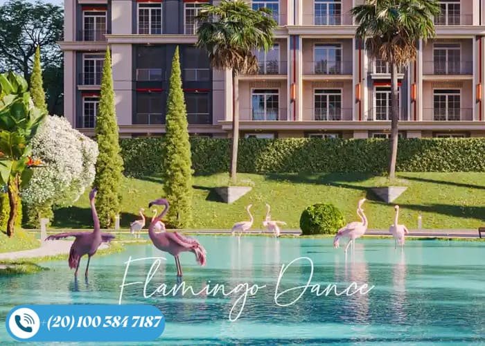 كمبوند ريدي سيتي التجمع الخامس Reedy City New Cairo بمقدم 5%