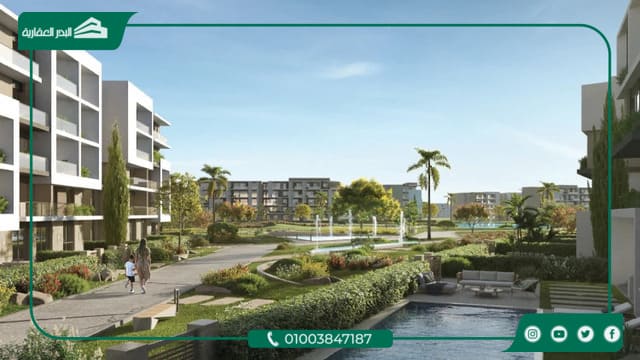 Terrace Zayed